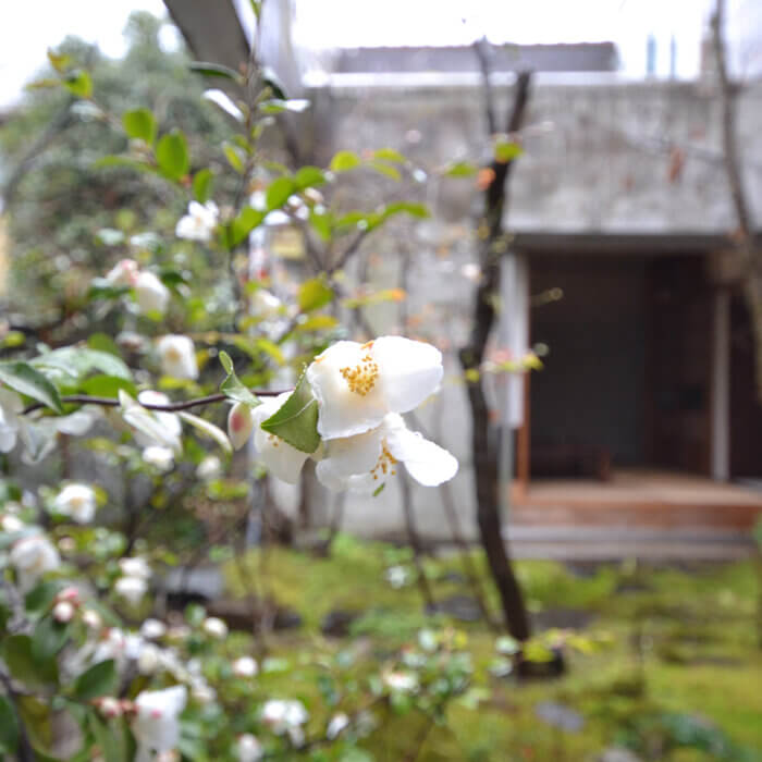 梅原横丁の家　季節の花が咲く庭