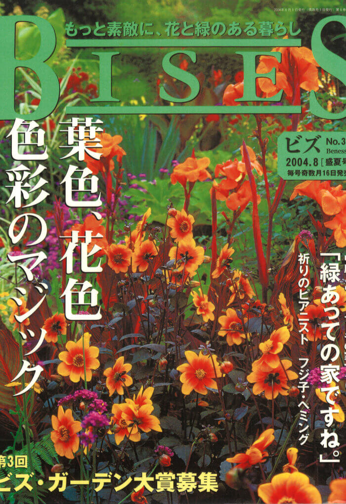 ビズ No.31 盛夏号 2004年07月15日発売