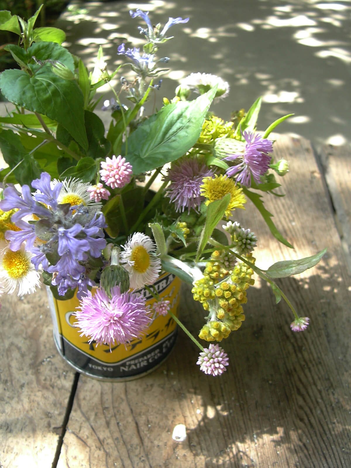 庭の路地に咲いている雑草の色とりどりの花を、カレーの缶に飾りました
