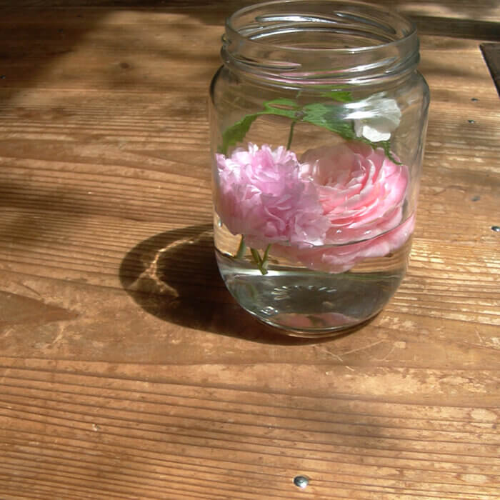 道ばたで拾ったピンクの花をガラス瓶入れた子供