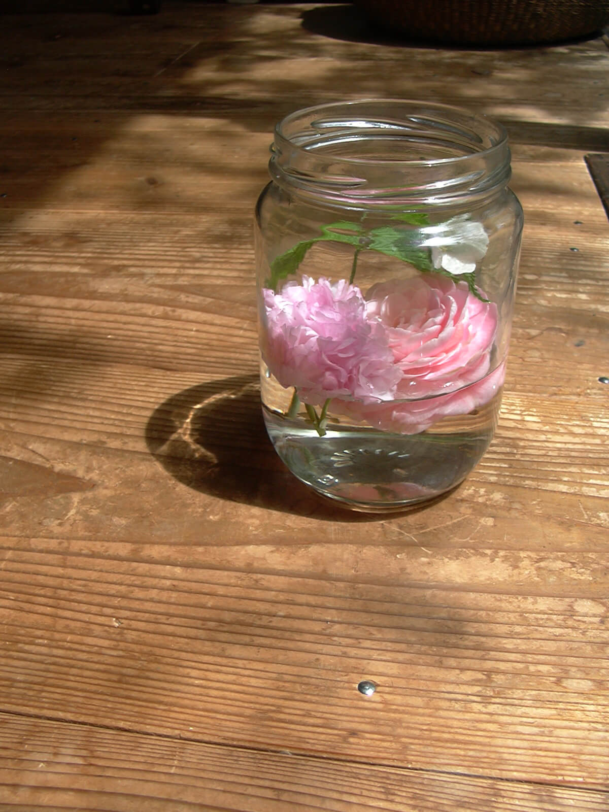 道ばたで拾ったピンクの花をガラス瓶入れた子供