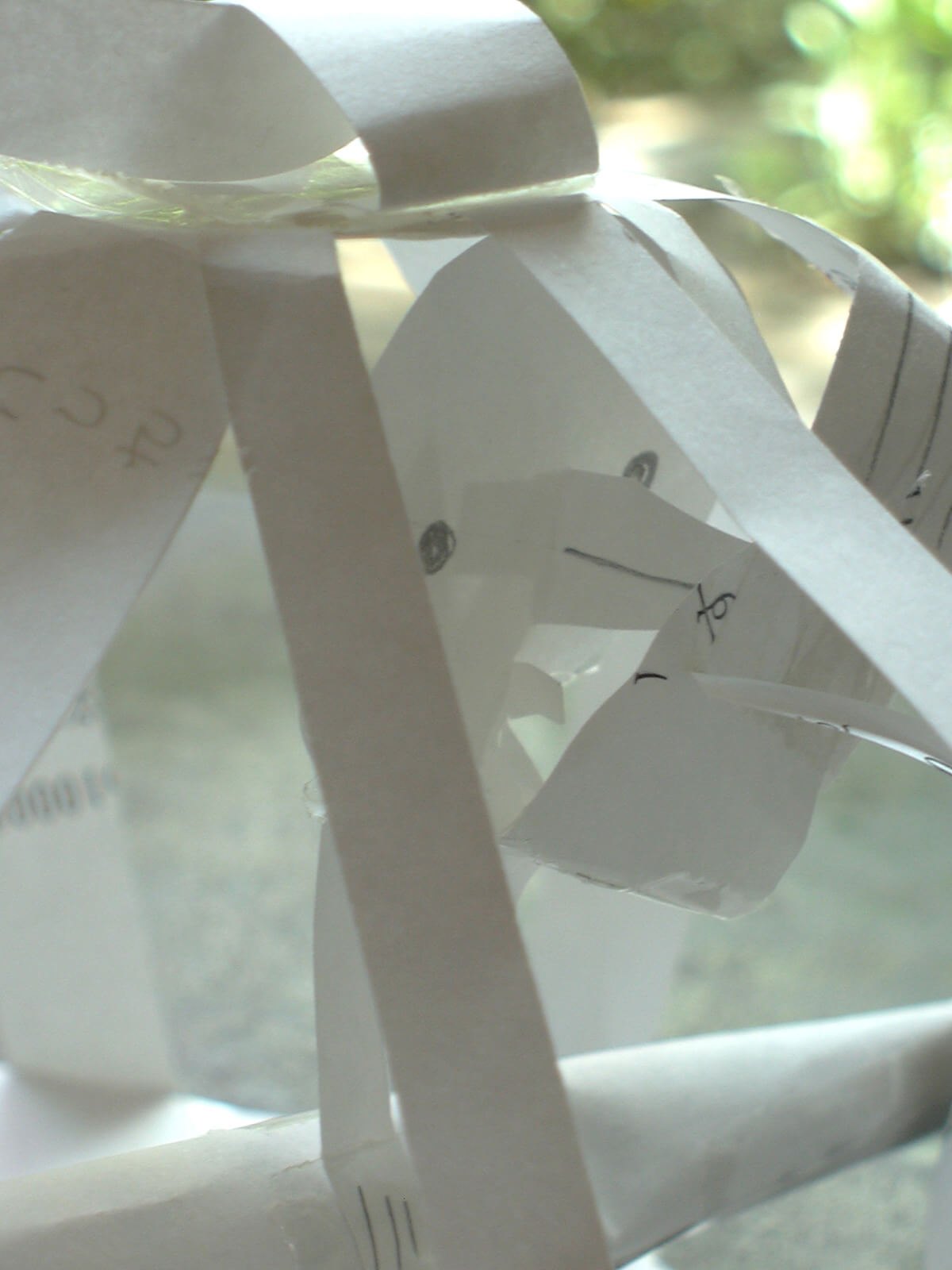 子供が紙で作った鳥かごからのぞく鳥