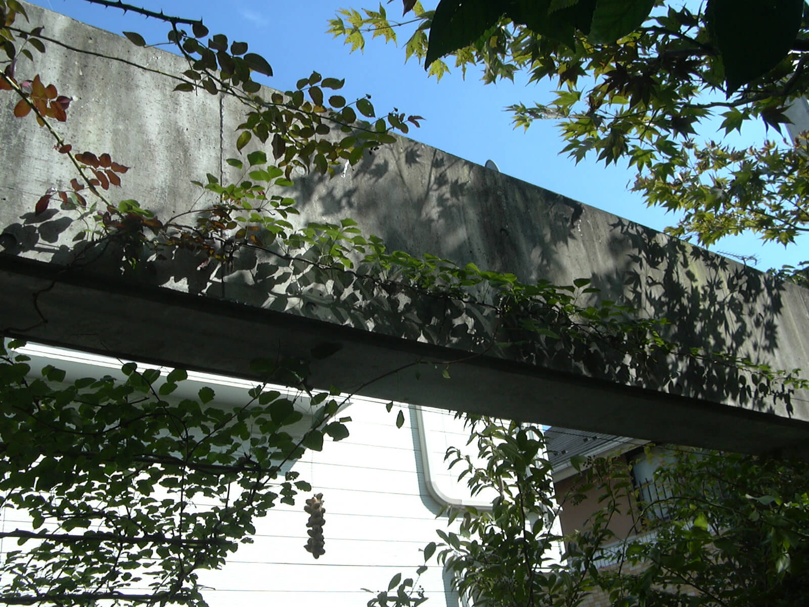 中庭の上にあるコンクリートの梁に秋の影