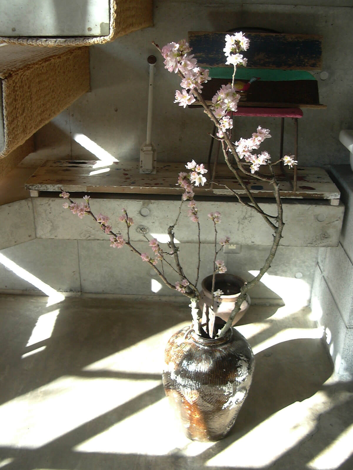 お客さまから桜の枝をいただいたので、花瓶にさして飾りました