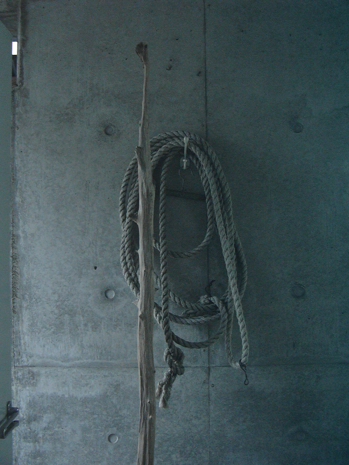 2008年の夏に拾ったロープ