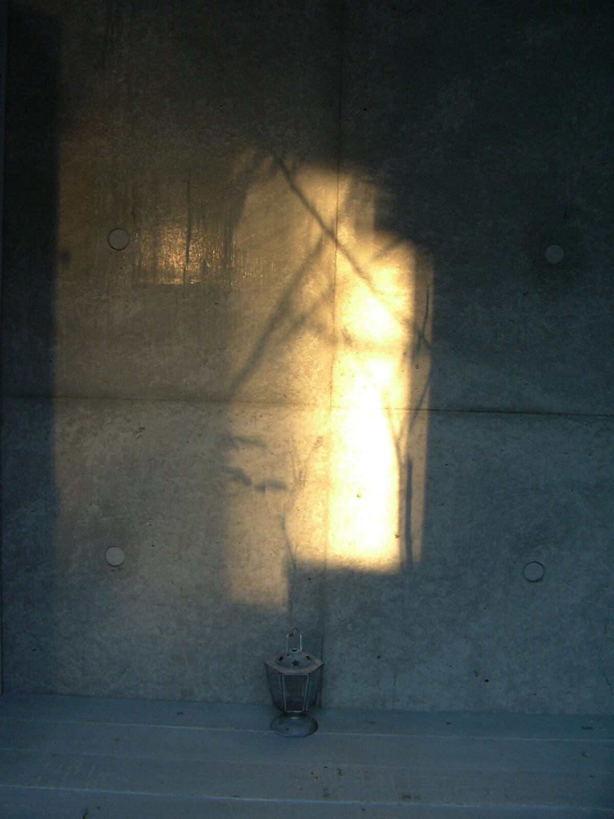 2009年冬の朝、庭に面したコンクリートの壁に、一瞬描かれる光絵