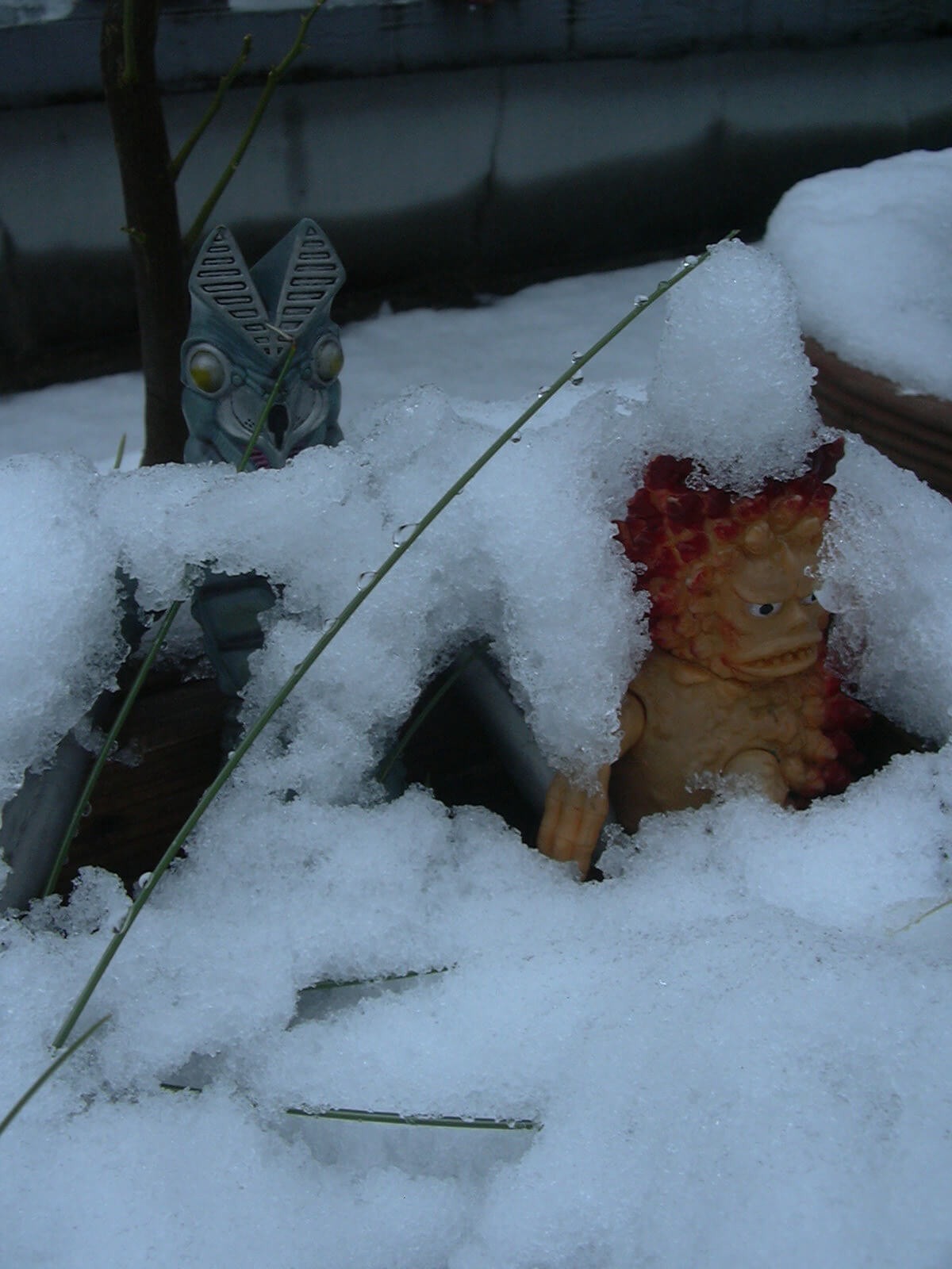 雪夏至の庭に佇むバルタン星人の人形とピグモンの人形