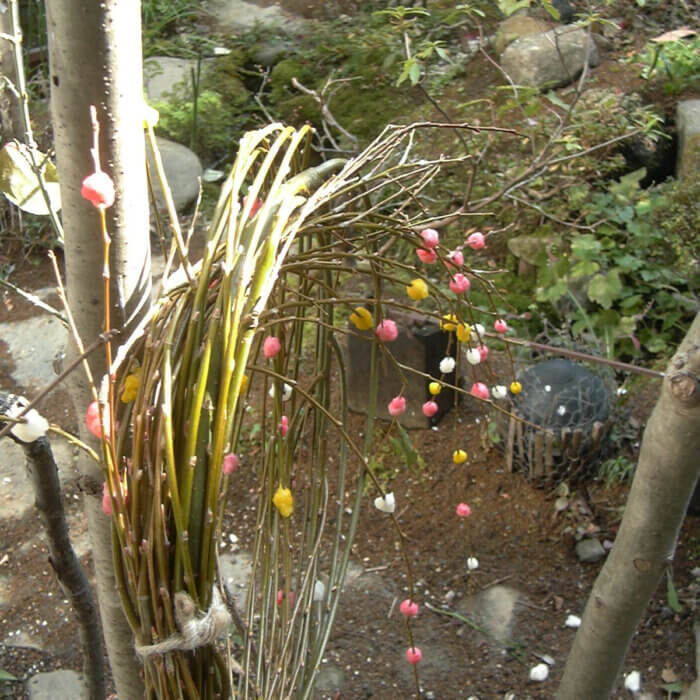 毎年お餅玉で飾った柳のお正月飾りを子供と作り、鏡開きの11日は庭に出して木の枝にくくり付けます