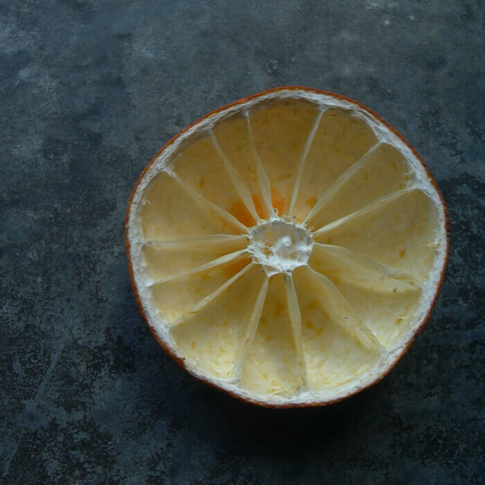 メジロが完食したオレンジ