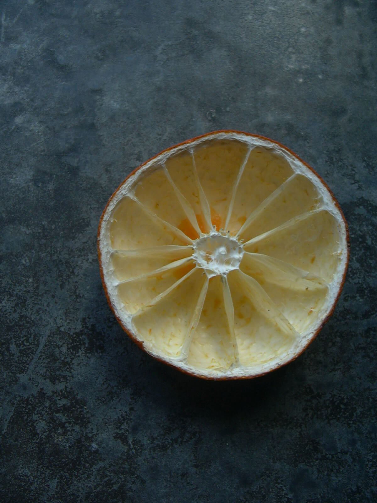 メジロが完食したオレンジ