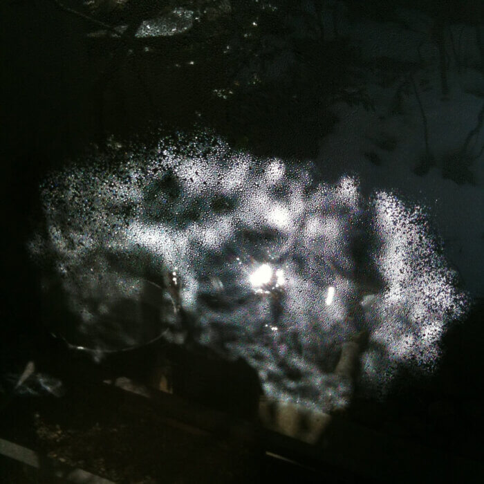1月は庭の池に月の光が反射しリビングの窓ガラスに光のスクリーンができます