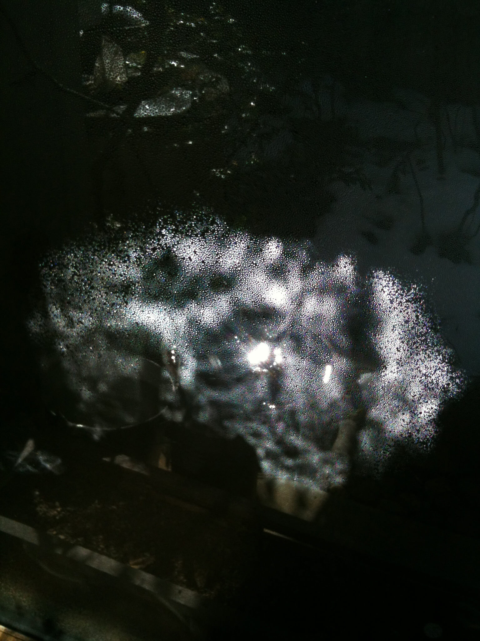 1月は庭の池に月の光が反射しリビングの窓ガラスに光のスクリーンができます