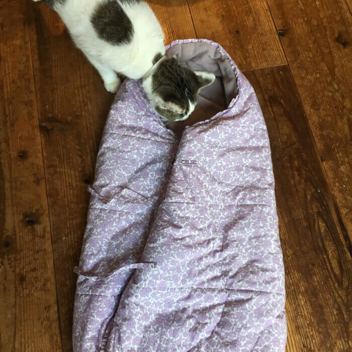 暖かいおくるみを再利用してネコ用の寝床に