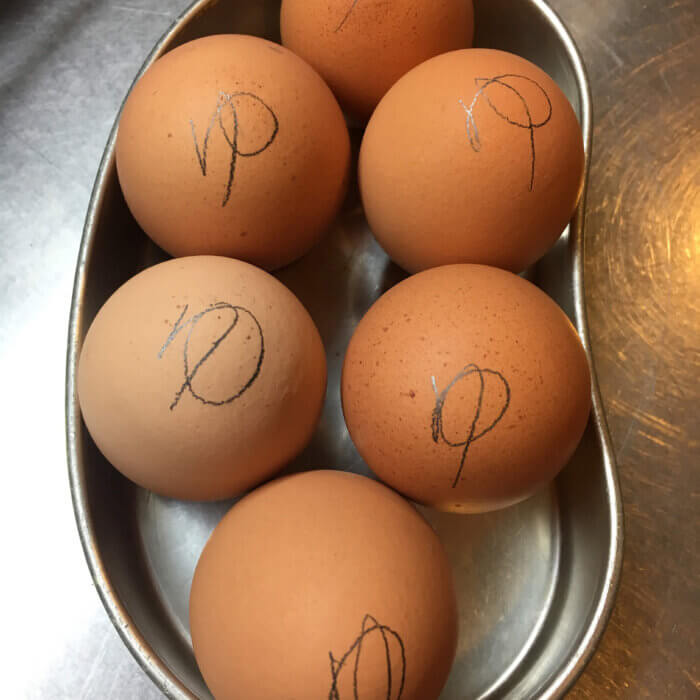 茹でられた卵の”ゆ” 印軍団