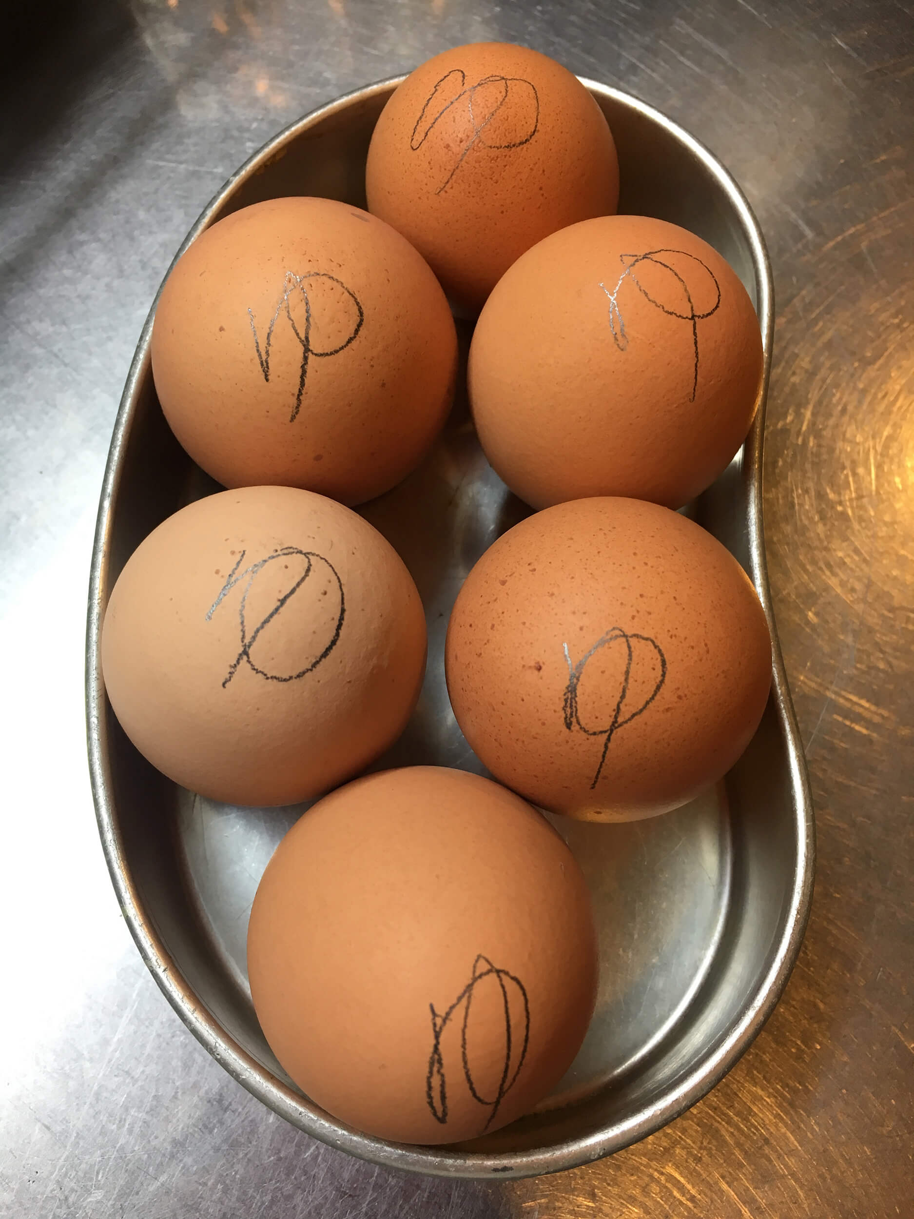 茹でられた卵の”ゆ” 印軍団