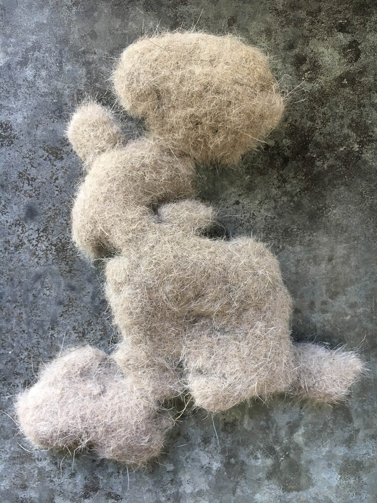 ネコ自身の毛で作られた毛玉ボールで遊んでたら、すごい形になった