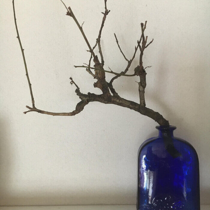 ブルーなボトルにさした梅の枝