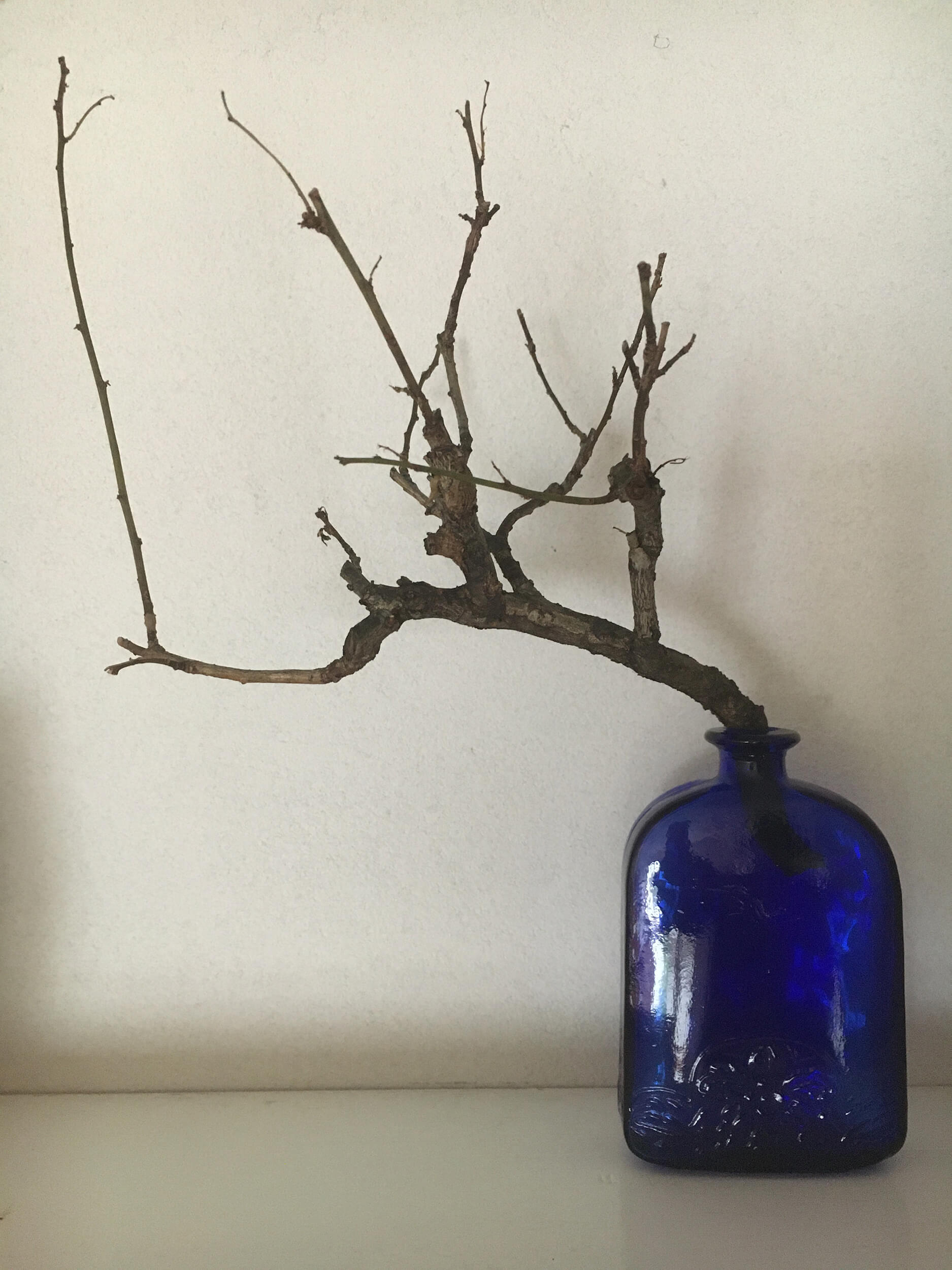 ブルーなボトルにさした梅の枝