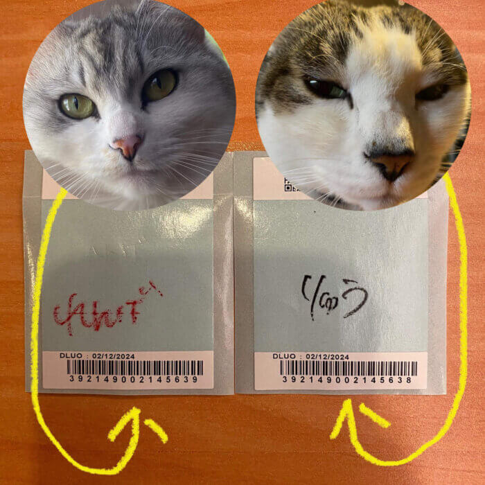 猫2匹のマイクロチップ