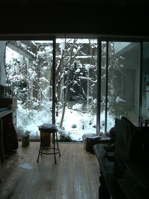 雪が降り積もった庭
