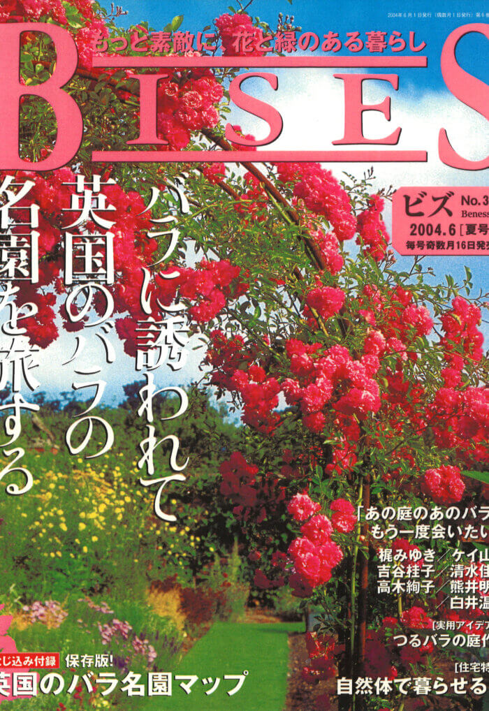 ビズ No.30 夏号 2004年05月15日発売