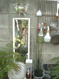庭にある鏡と植物