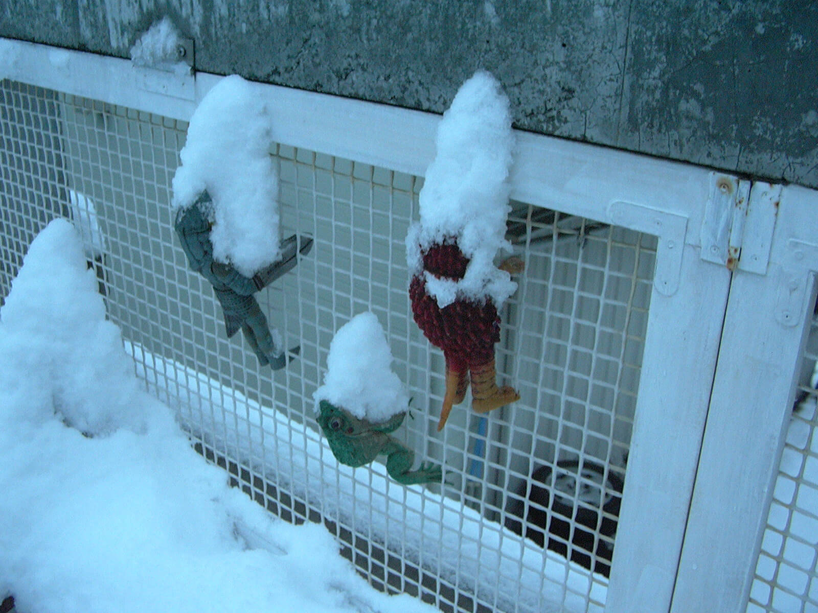 ベランダのネットにかけられた3体の怪獣の人形に、雪が積もっている