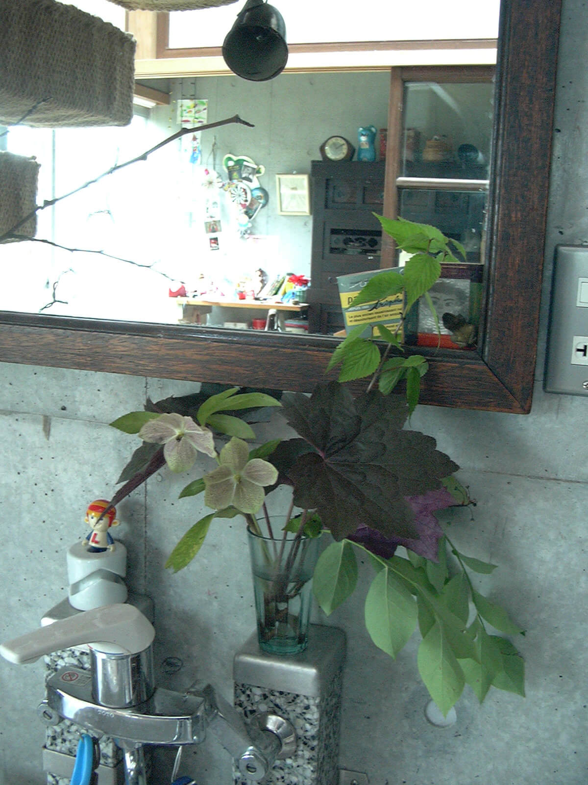 洗面所に飾られた、コップに活けられた複数の種類の葉
