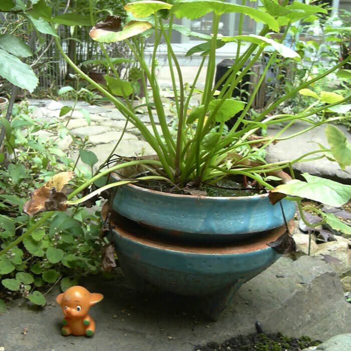 庭に置かれた、植木鉢として使われている陶芸で作ったサラダボウル