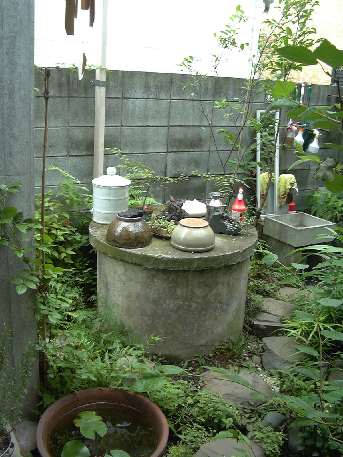 中庭にある、今は使われていない草木に囲まれた井戸