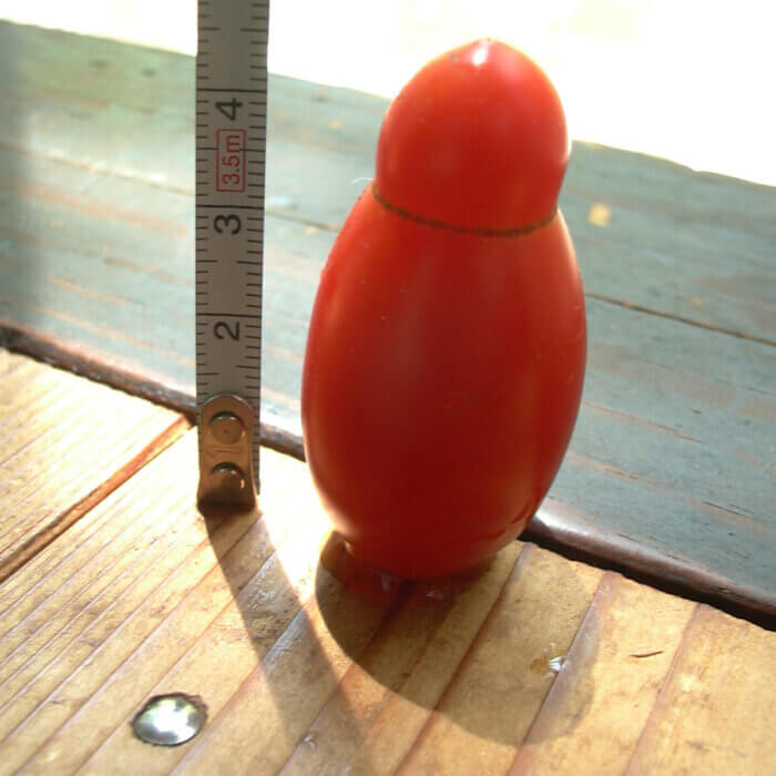 身長4.5cmくらいのトマト