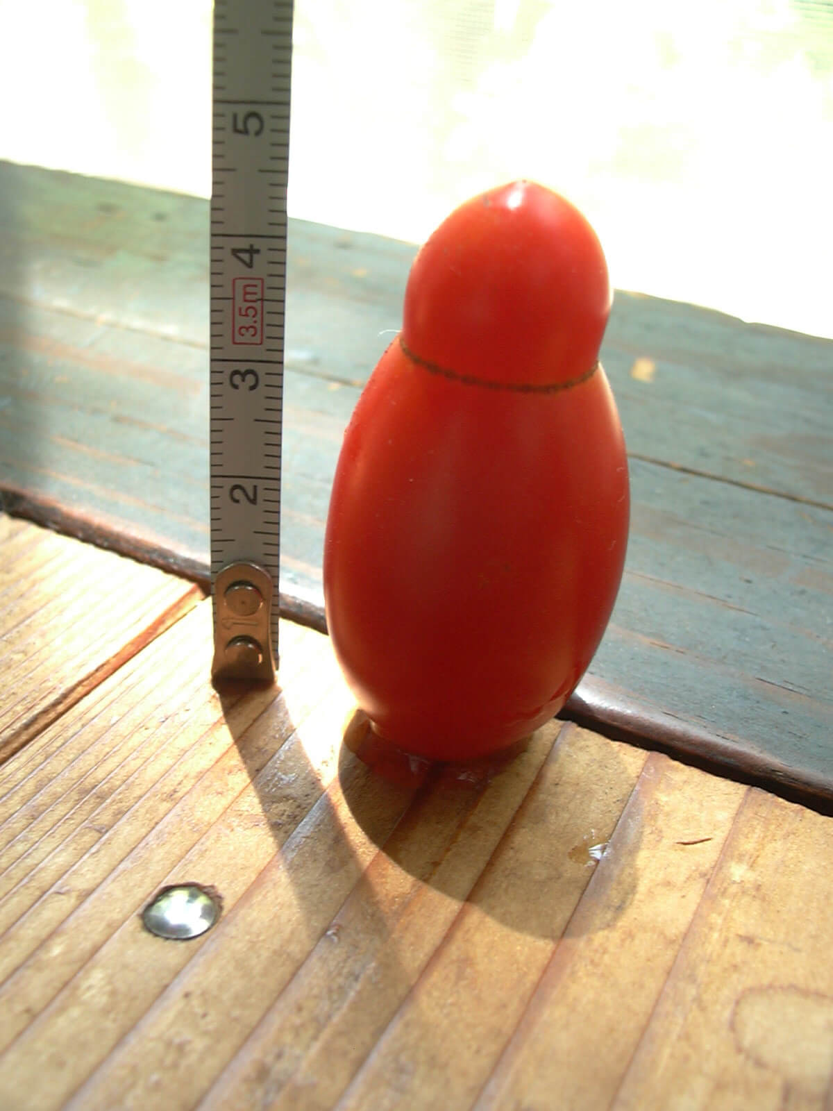 身長4.5cmくらいのトマト
