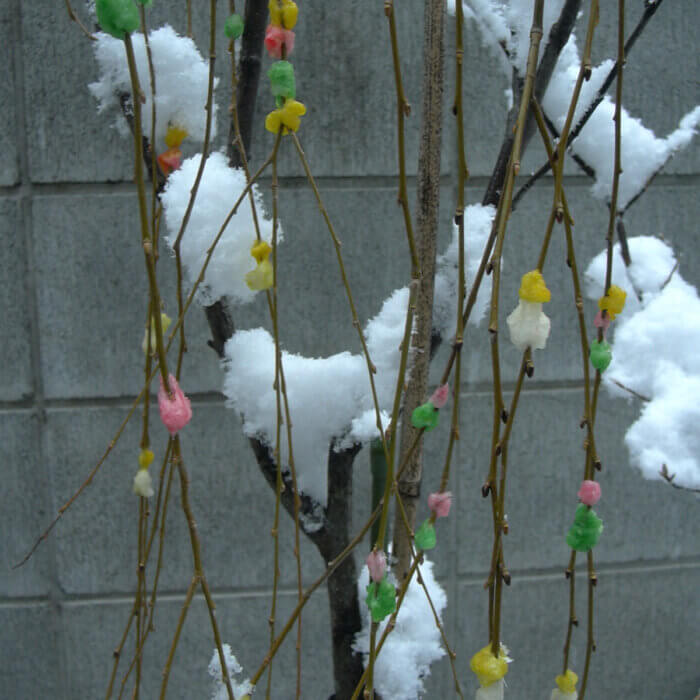 庭に飾られたお正月飾りの餅花に雪が積もっている