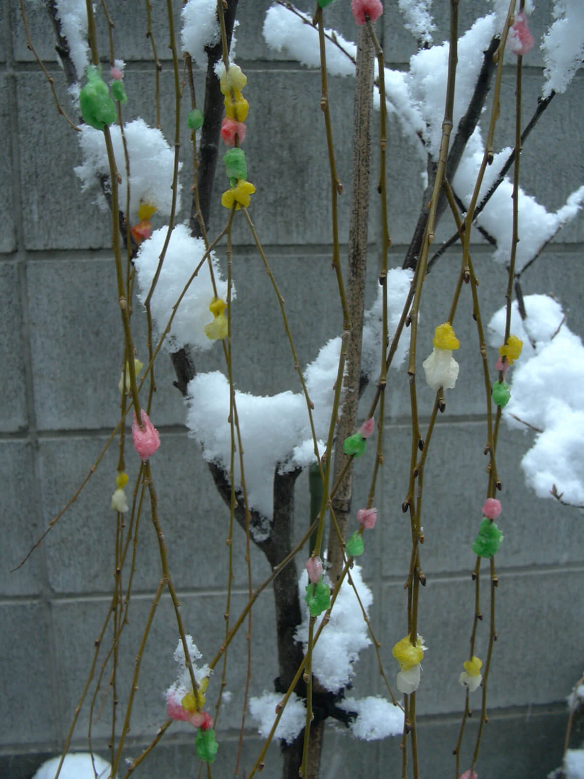 庭に飾られたお正月飾りの餅花に雪が積もっている