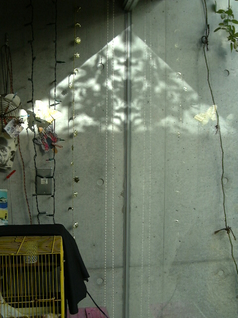 数本のチェーンライトが掛けられたコンクリートの壁に映った、花模様のあいあい傘のように見える陽の光