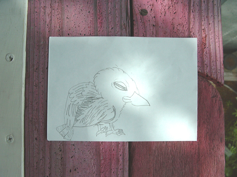白い紙に書かれた、目を閉じているシナモン文鳥のイラスト